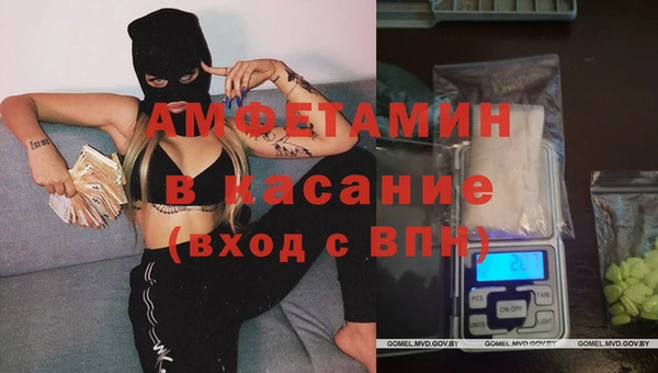 мяу мяу мука Белокуриха