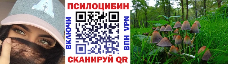 ОМГ ОМГ как зайти  Завитинск  Псилоцибиновые грибы Psilocybe  где купить  